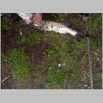 Majdalena 25.6.2008 -33.JPG